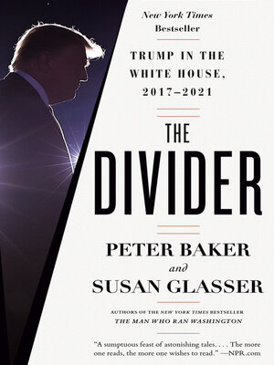 cover image of The Divider